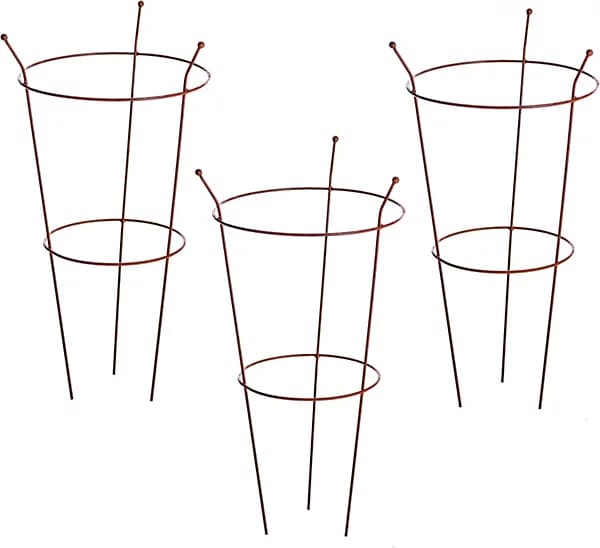 Corten Peony Plant Frame.