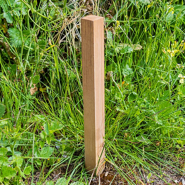 Square Wooden Fencing Stakes.