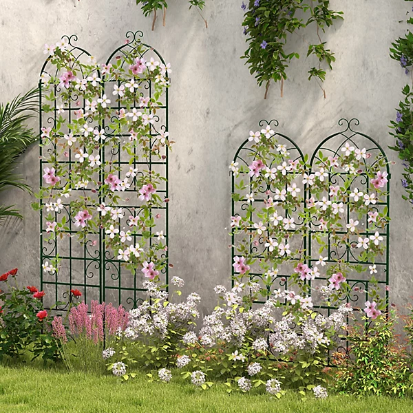 Garden Trellis for Climbing Plants.