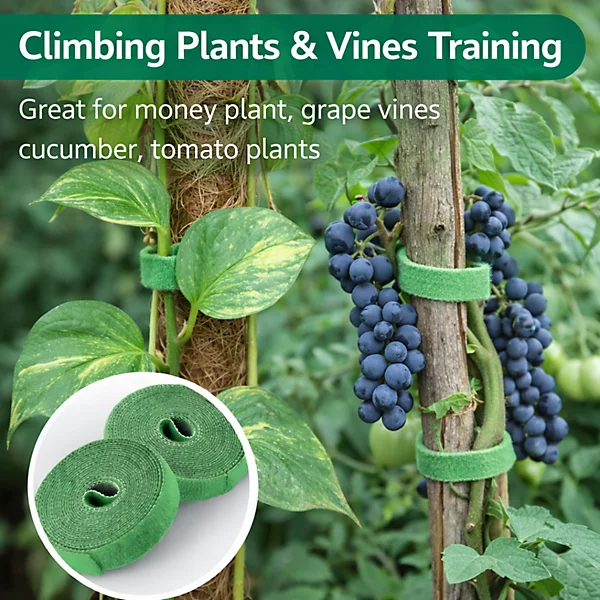 Plant tie tape.