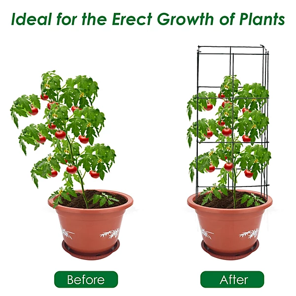 Plant Support Stands.